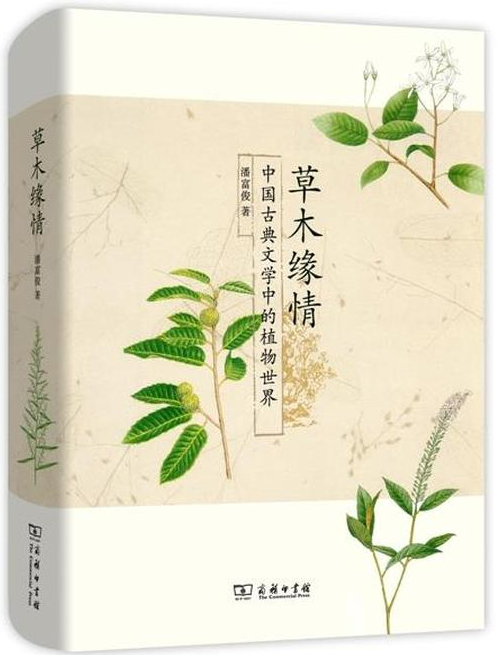 图片15.png